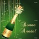 Bonne ann�e 2010 !
