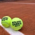 Roland-Garros : les fans ont-ils t entendus?